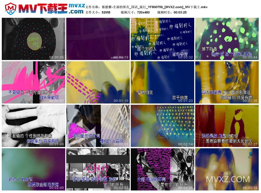 蔡健雅-全部的所有_国语_流行_YF800759